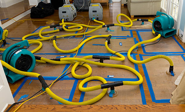 Professional Structural Drying And Dehumidification technician working in Jacksonville, MO